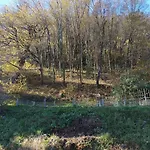 La Casa Di Alice Prázdninový dům Valbrona