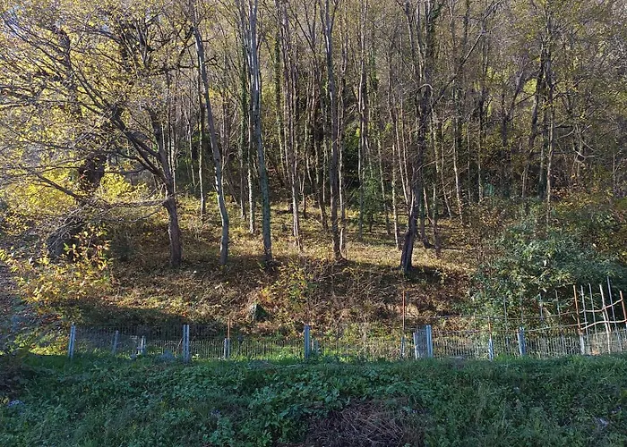 La Casa Di Alice Hébergement de vacances Valbrona