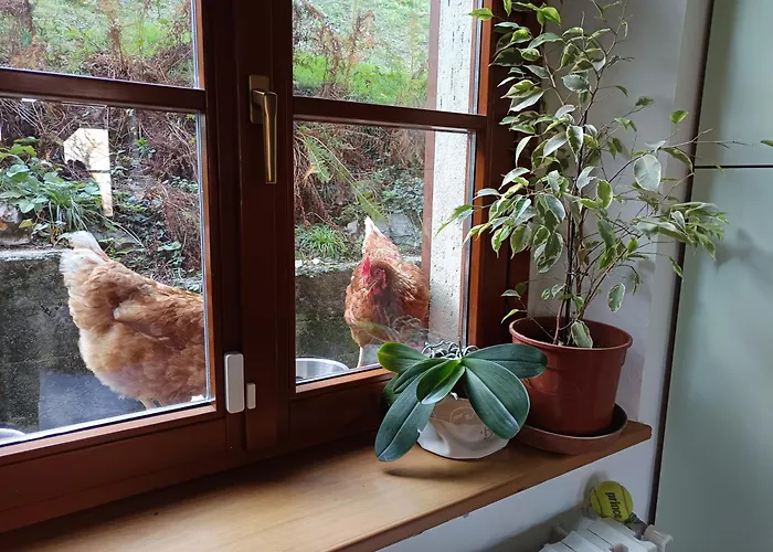 Hébergement de vacances La Casa Di Alice *