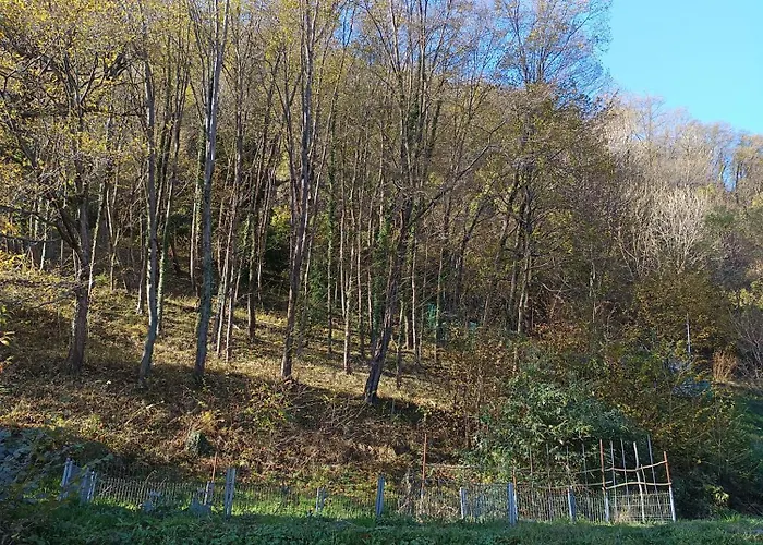 La Casa Di Alice Hébergement de vacances Valbrona