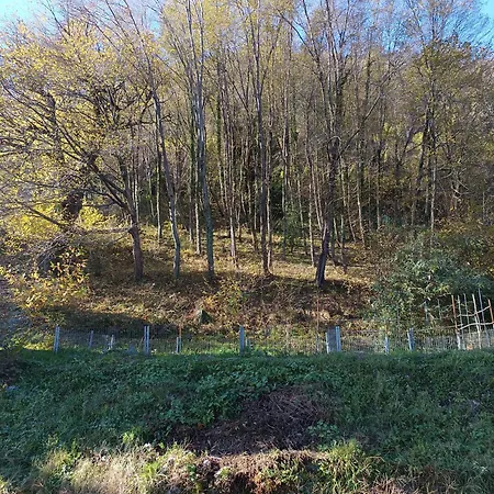 La Casa Di Alice Holiday home Valbrona