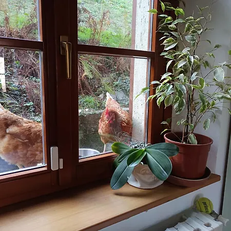 Holiday home La Casa Di Alice *