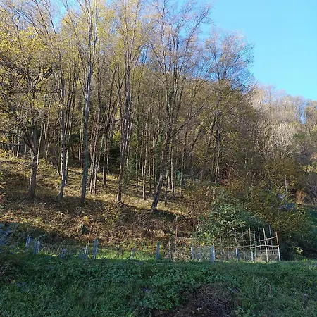 La Casa Di Alice Dom wakacyjny Valbrona