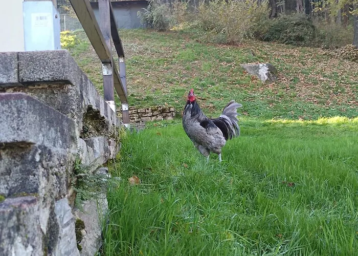 La Casa Di Alice Nyaraló Valbrona