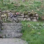 La Casa Di Alice *