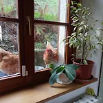 Hébergement de vacances La Casa Di Alice *